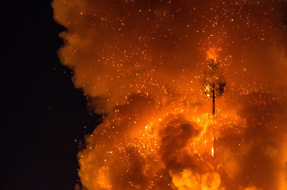 das Feuer ist oben an der Tanne angekommen