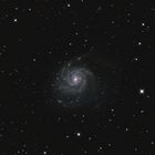 Das Feuerrad (M101 Pinwheel Galaxy)