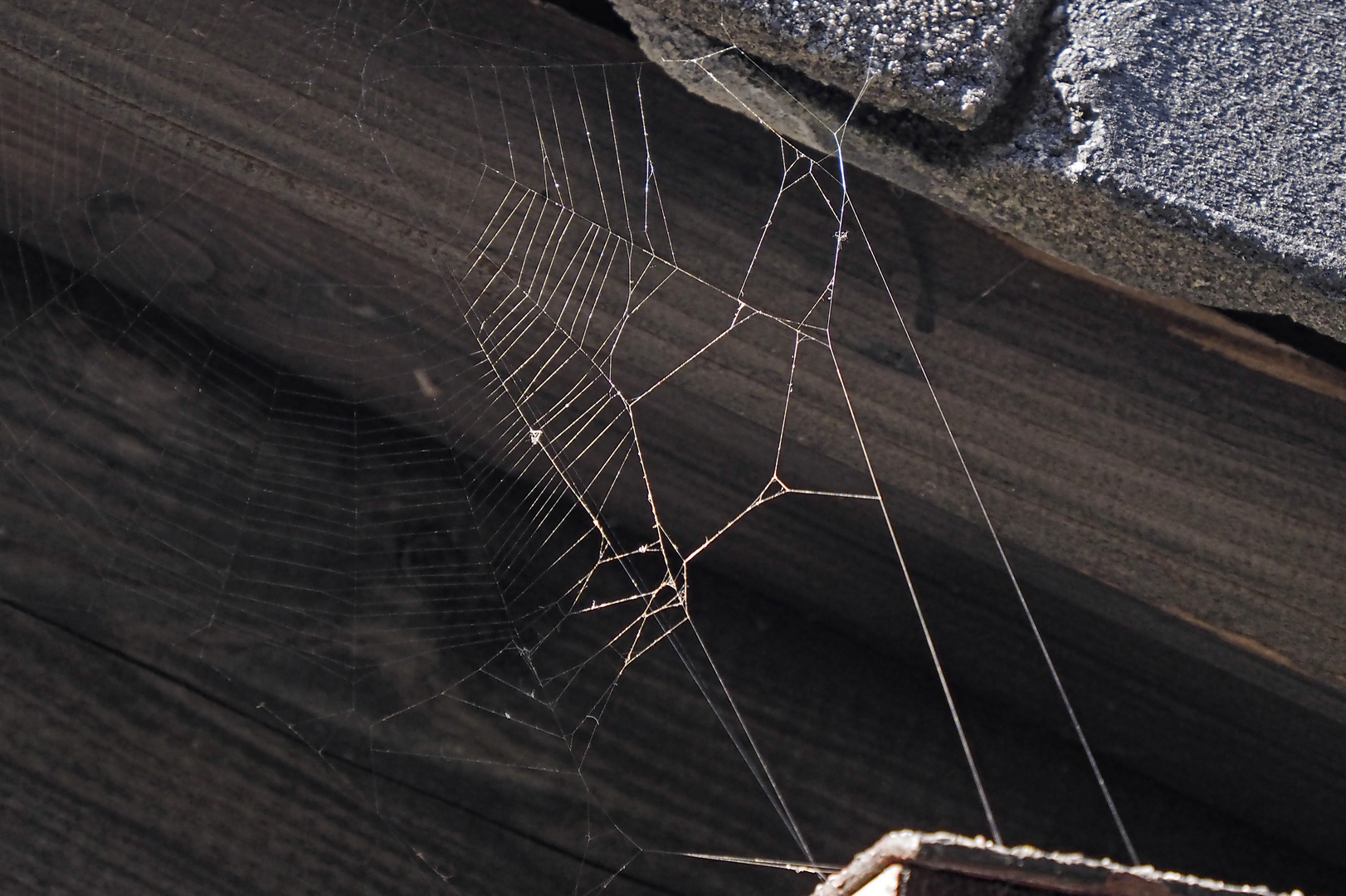 Das filigrane Netz einer Spinne unter der Dachtraufe, leider ohne Spinne :-(