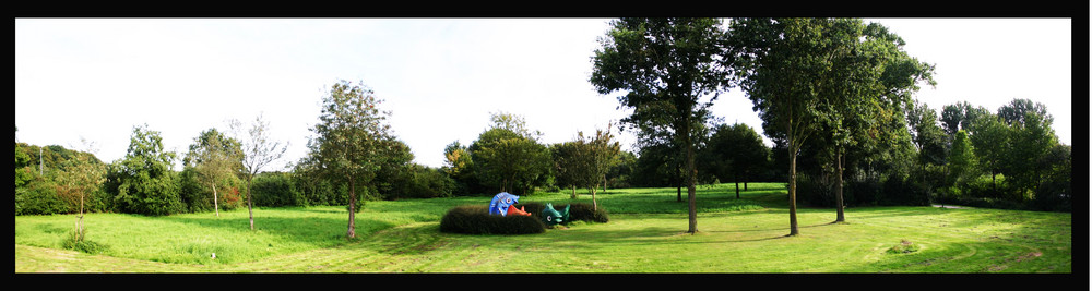 Das Fisch-Panorama