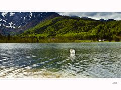 Das Flair am Almsee