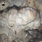 Das Fledertier in der Bärenhöhle