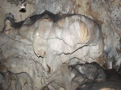 Das Fledertier in der Bärenhöhle