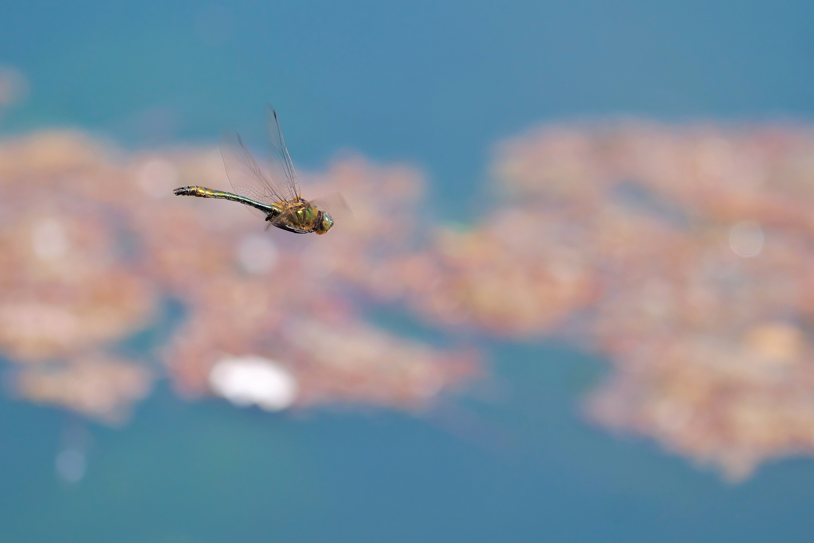 Das fliegende Auge