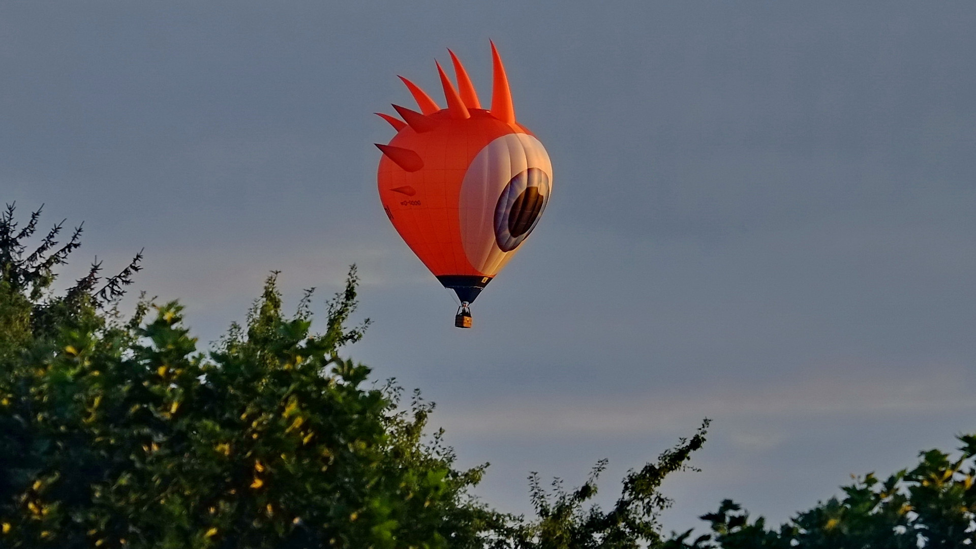 Das fliegende Auge über dem Niederrhein