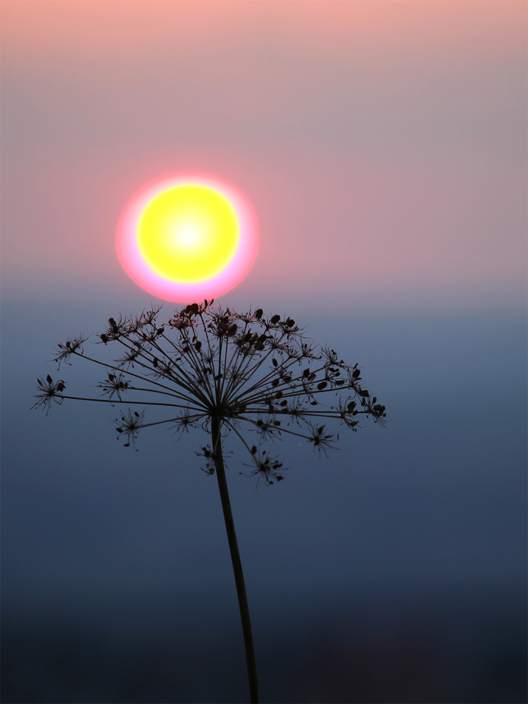 das fliegende Kondom ;-) Foto & Bild | sonnenuntergänge ...