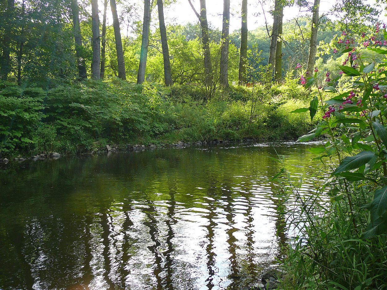 Das fließende Wasser Foto & Bild | deutschland, europe, sachsen Bilder auf fotocommunity