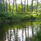 Das fließende Wasser 