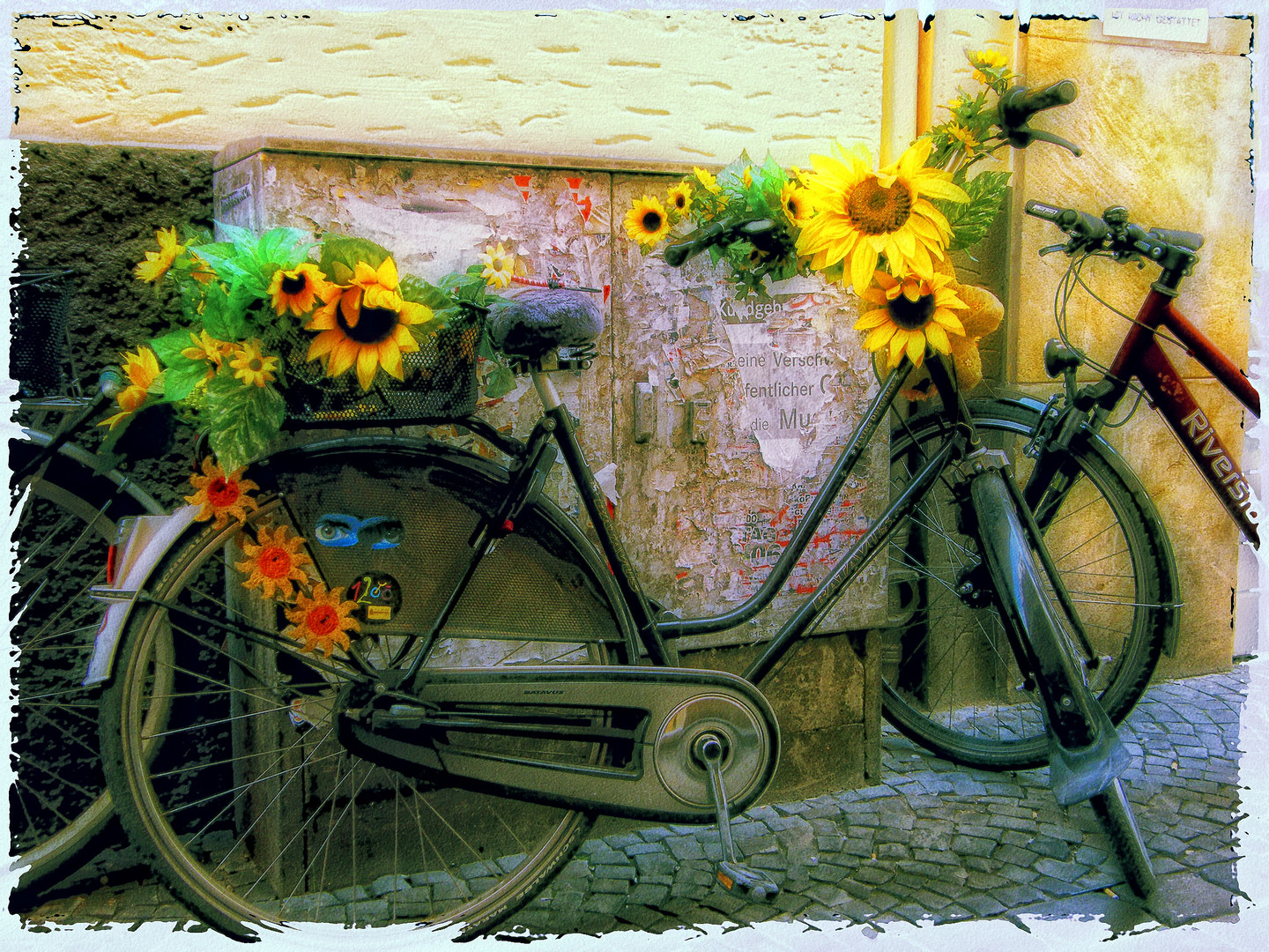 Das "Flower-Power-Bike"