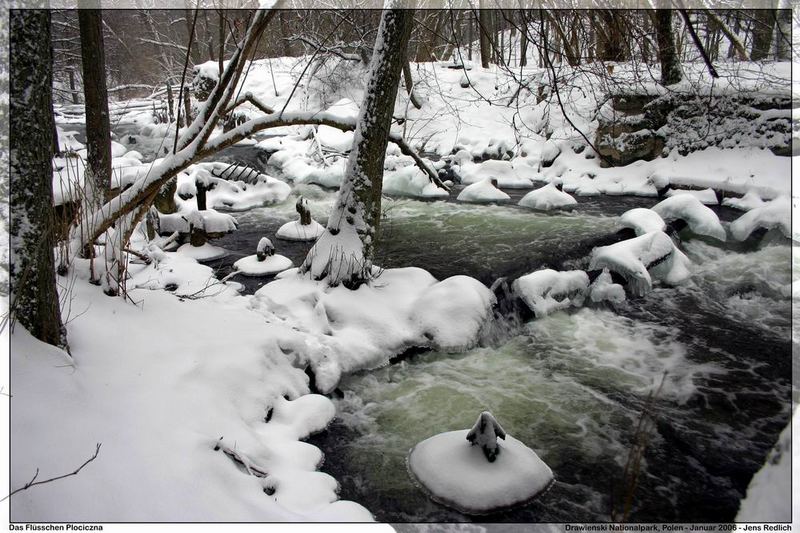 Das Flüsschen Plociczna im Drawienski Nationalpark