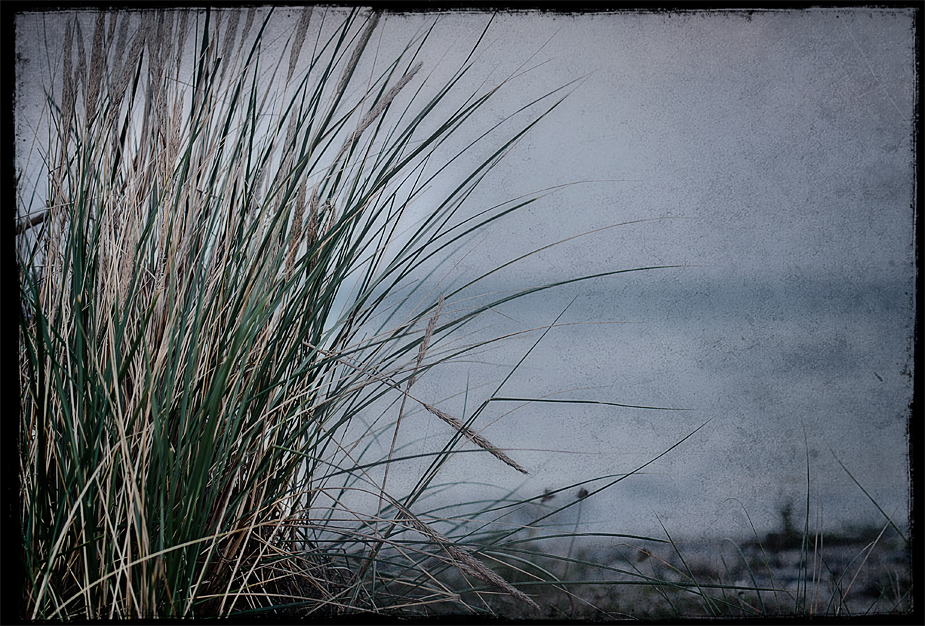 Das Flüstern der Ostsee