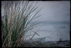 Das Flüstern der Ostsee