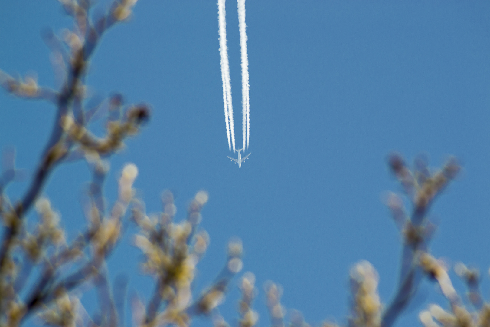 Das Flugzeug im Garten