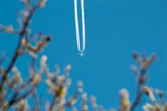 Das Flugzeug im Garten