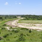 ...das Fluß Bett des Tarangire River...