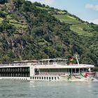 Das Flusskreuzfahrtschiff "Crucebelle" auf dem Rhein bei Oberwesel - Oberes Mittelrheintal