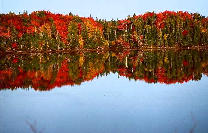 Das Flussufer gegenüber vom Ferienhaus Foto & Bild | jahreszeiten