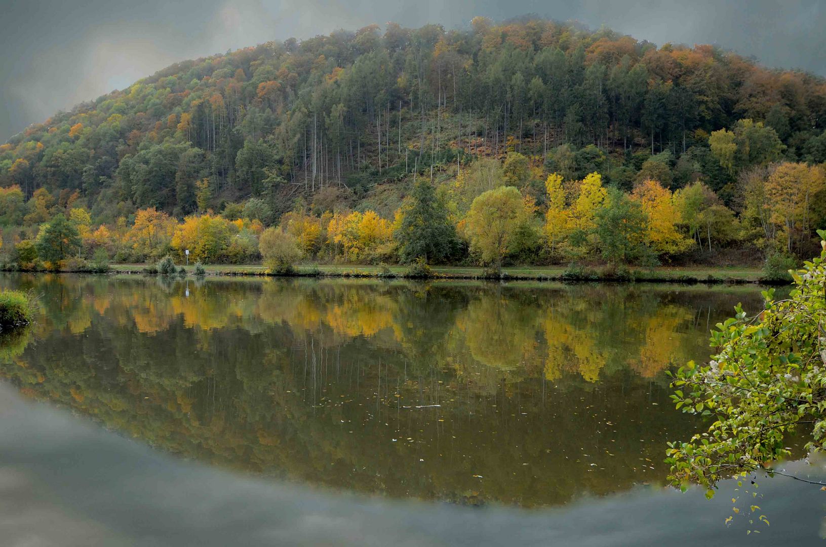 Das Fotoauge der Natur.