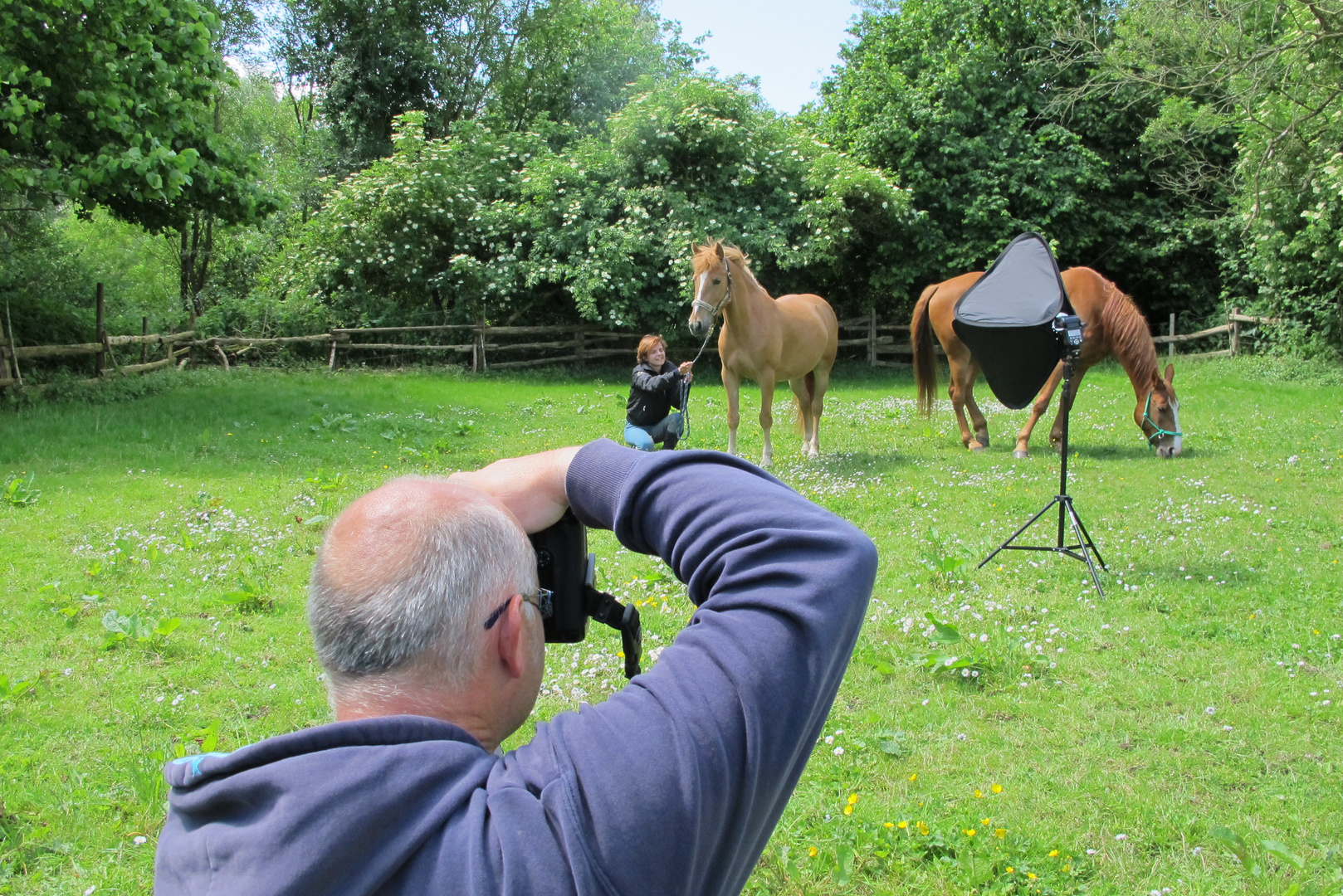 Das Fotoshooting