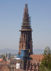 Das Freiburger Münster im Korsett