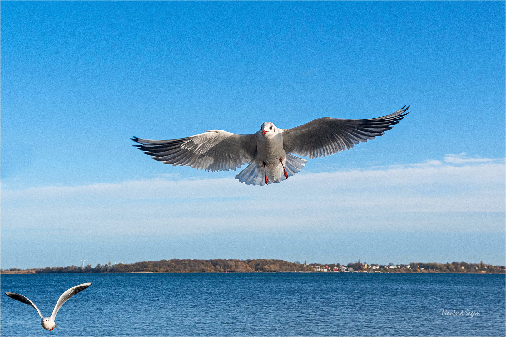 "das fressende Wunder" vom Strelasund... 