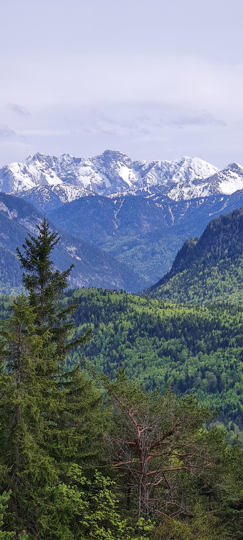 Das frische Grün