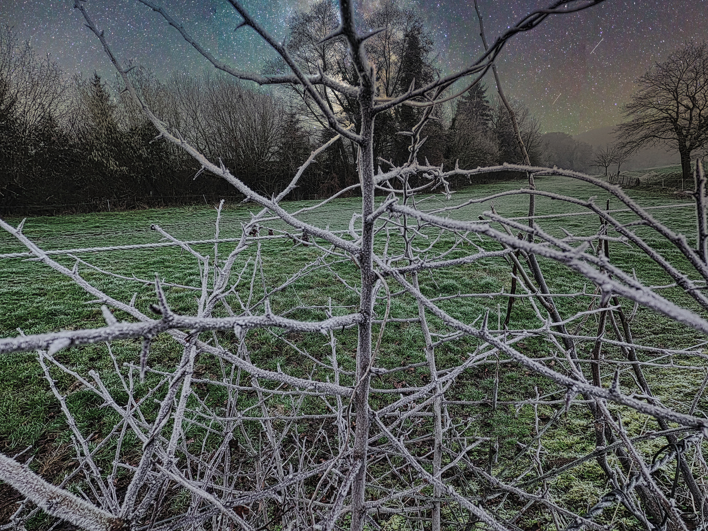 Das frostige Lauterbachtal.