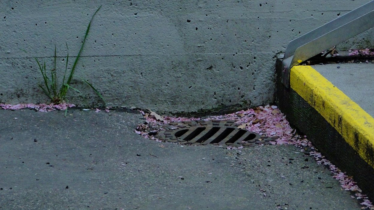 Das Frühjahr bringt Wassernot [In-Sichten]