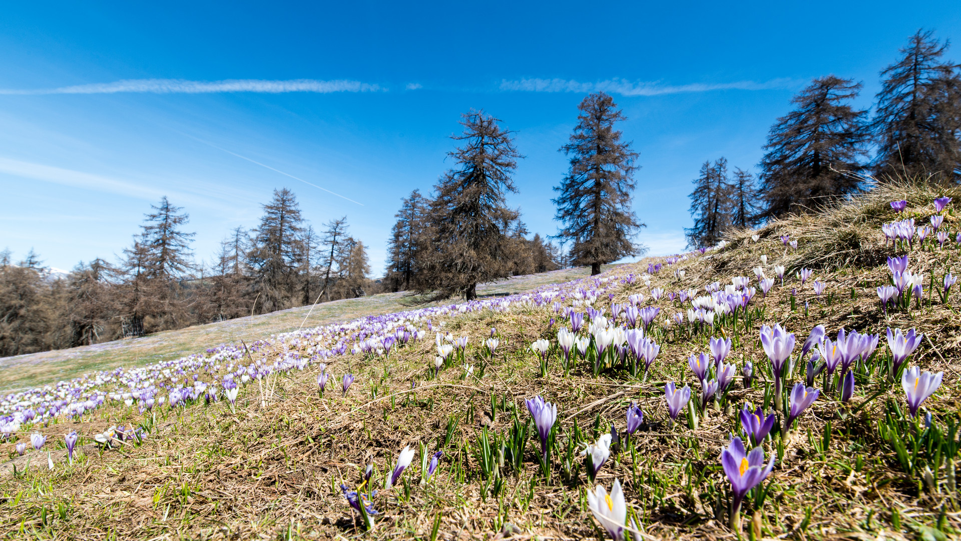 das Frühjahr hat begonnen