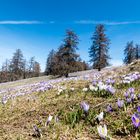 das Frühjahr hat begonnen