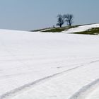 das Frühjahr naht im Gau ...