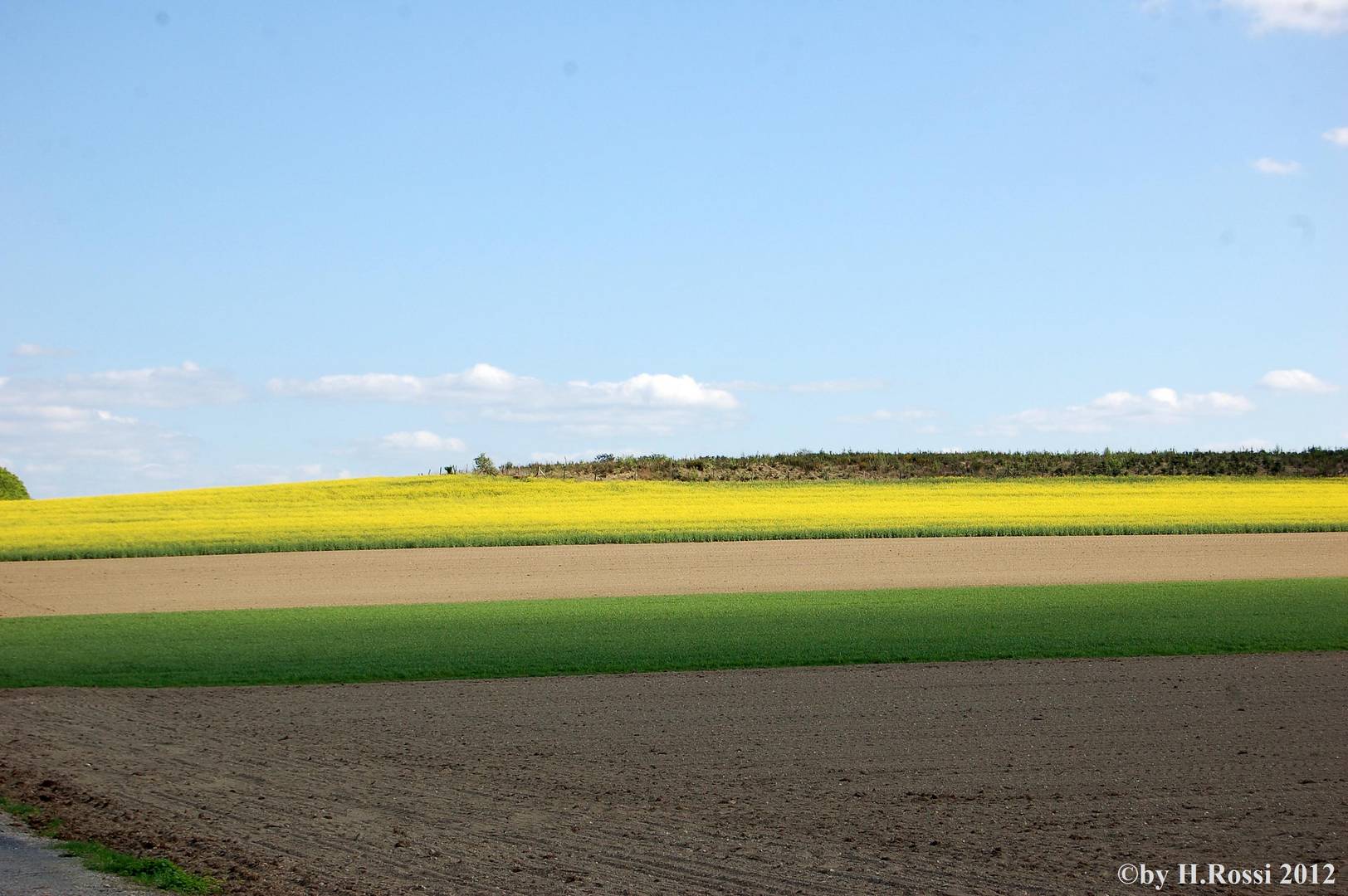 das Frühjahr zeigt seine Farben