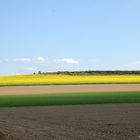 das Frühjahr zeigt seine Farben