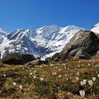 Das Frühjahr zieht ins Land