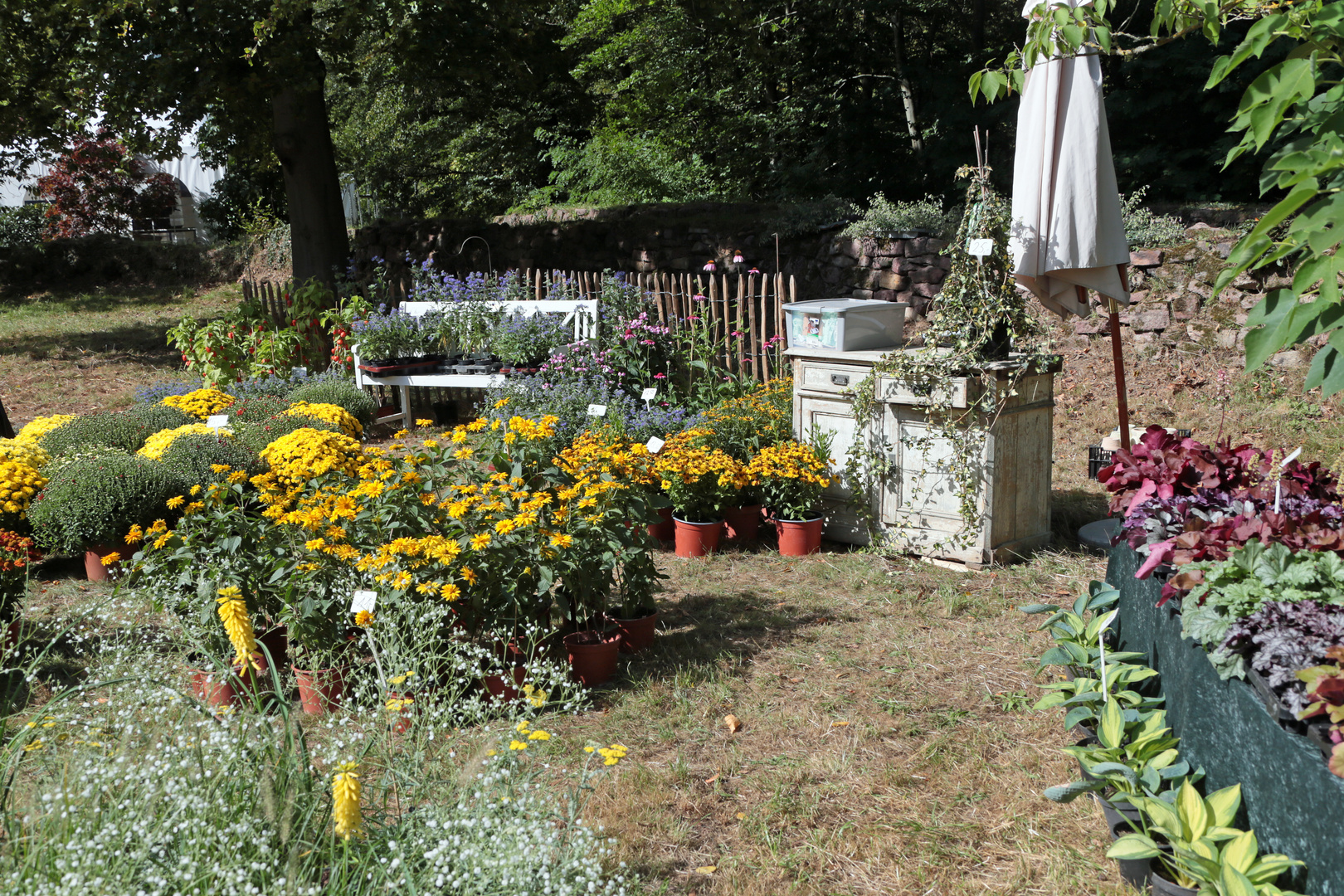 Das Fürstliche Gartenfest 