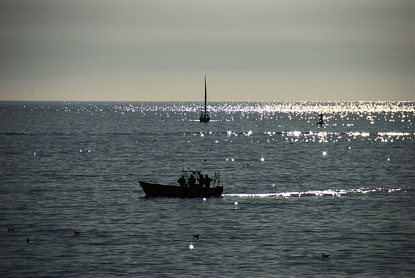 das funkelnde Meer