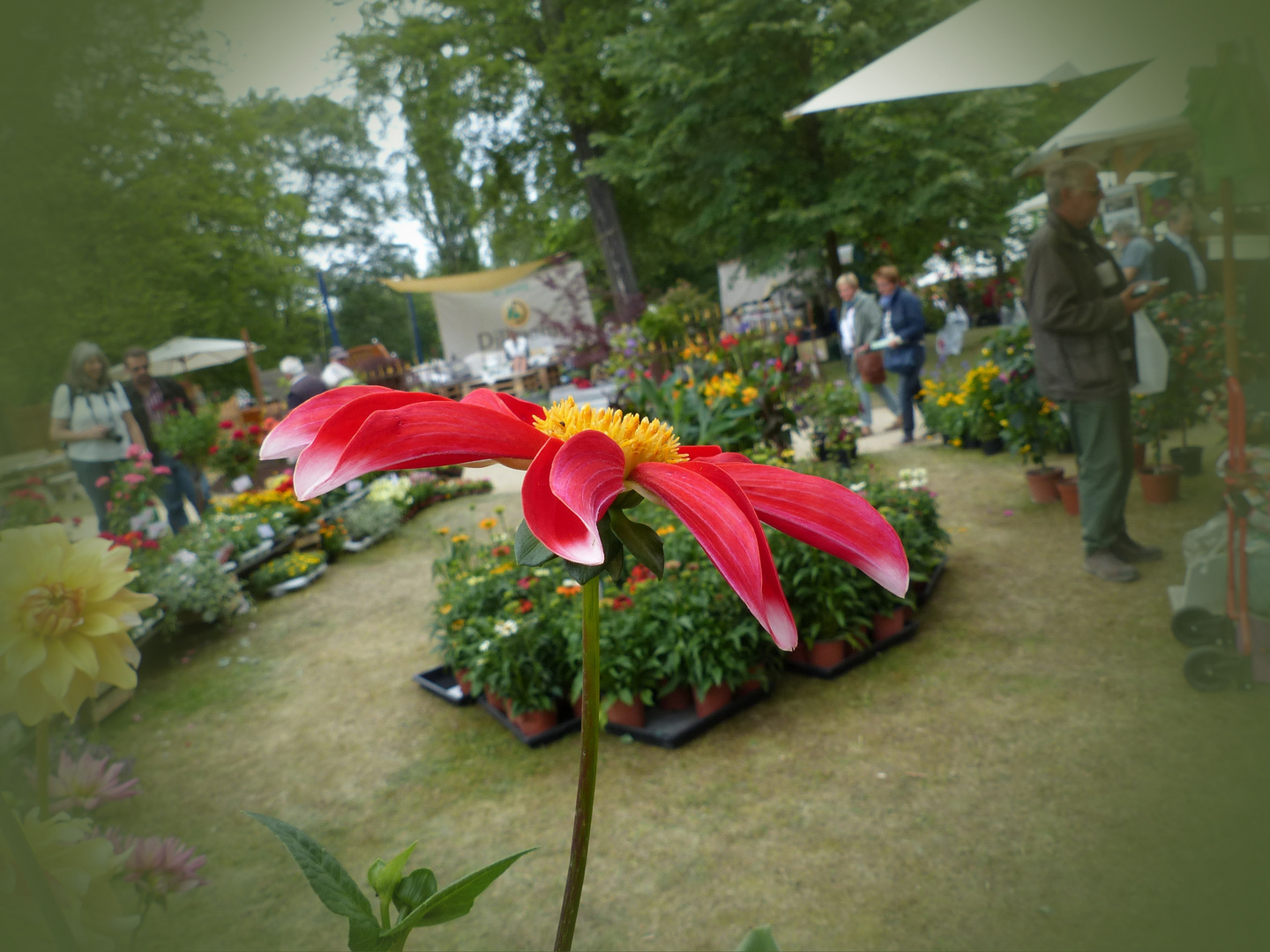 Das Gartenfest ...