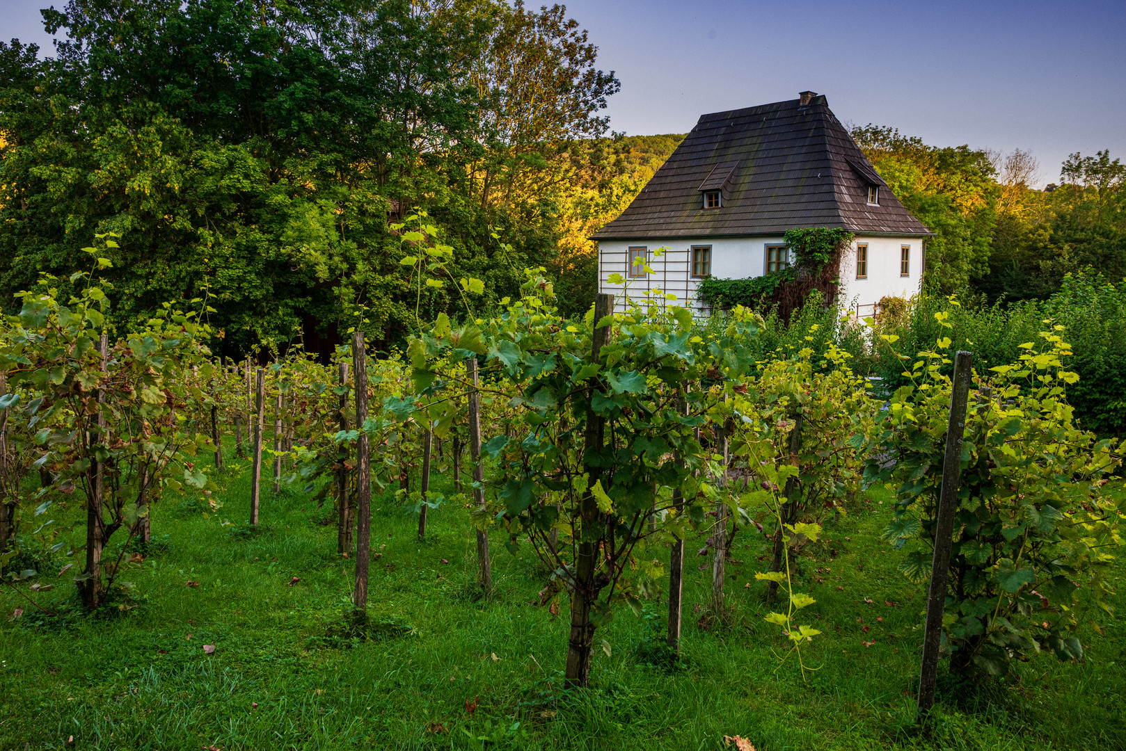 Das Gartenhaus