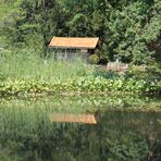 Das Gartenhaus mit neuem Dach.