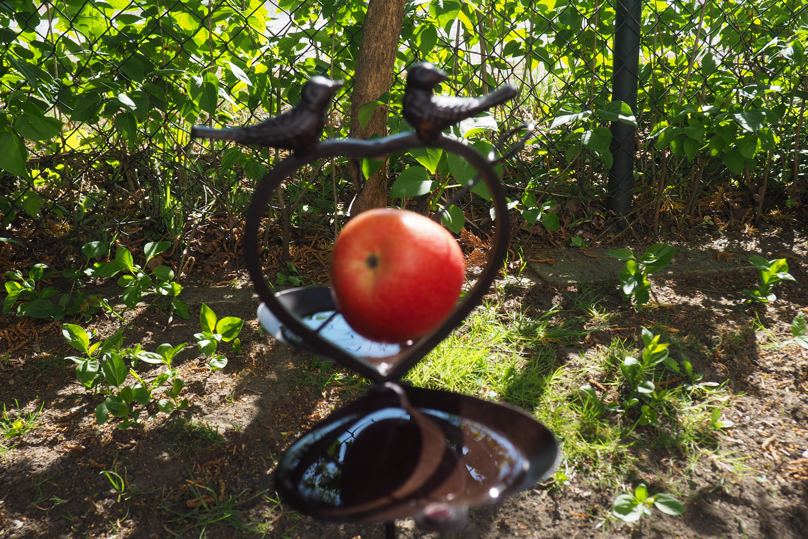 Das Gartenlokal ist geöffnet