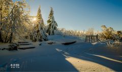 Das Gartentor im Schnee