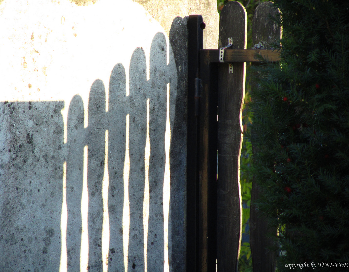 Das Gartentor zum Heim, kann auch ein Schatten sein !