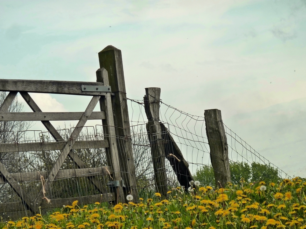 das Gatter am Niederrhein...