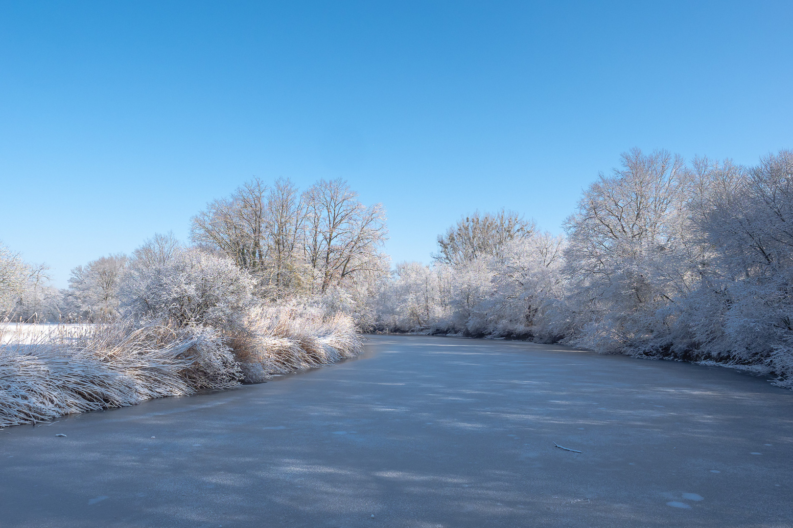 Das Gefrorene Altwasser der Schussen im Winter