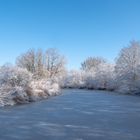 Das Gefrorene Altwasser der Schussen im Winter