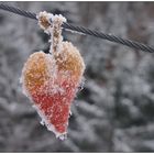 Das gefrorene Herz