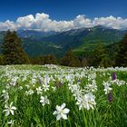 Das Gefühl Schweiz zu sein!