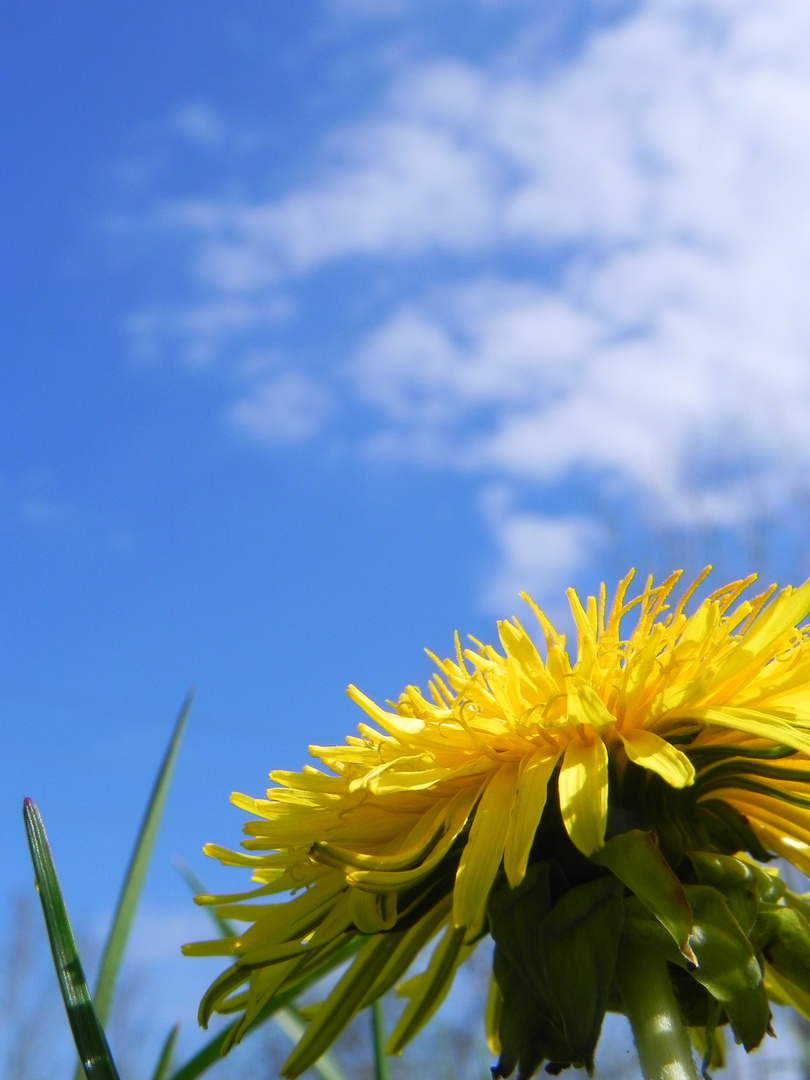 Das Gefühl von Sommer