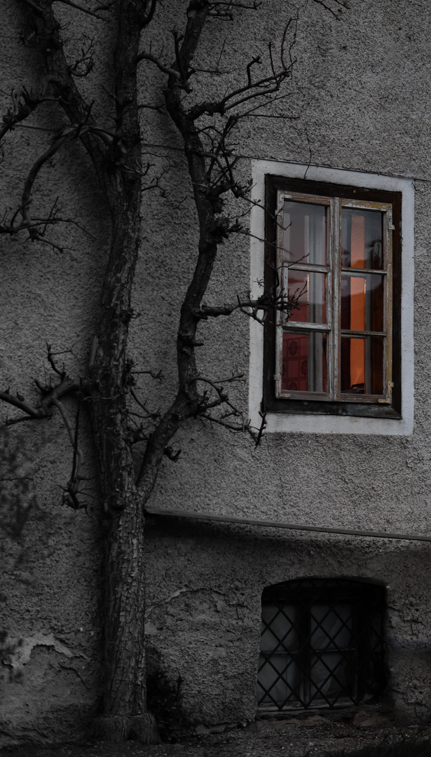 Das geheime Fenster Foto & Bild architektur, fenster & türen