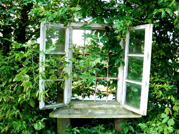 Das geheime Fenster Foto & Bild naturkreativ, natur Bilder auf